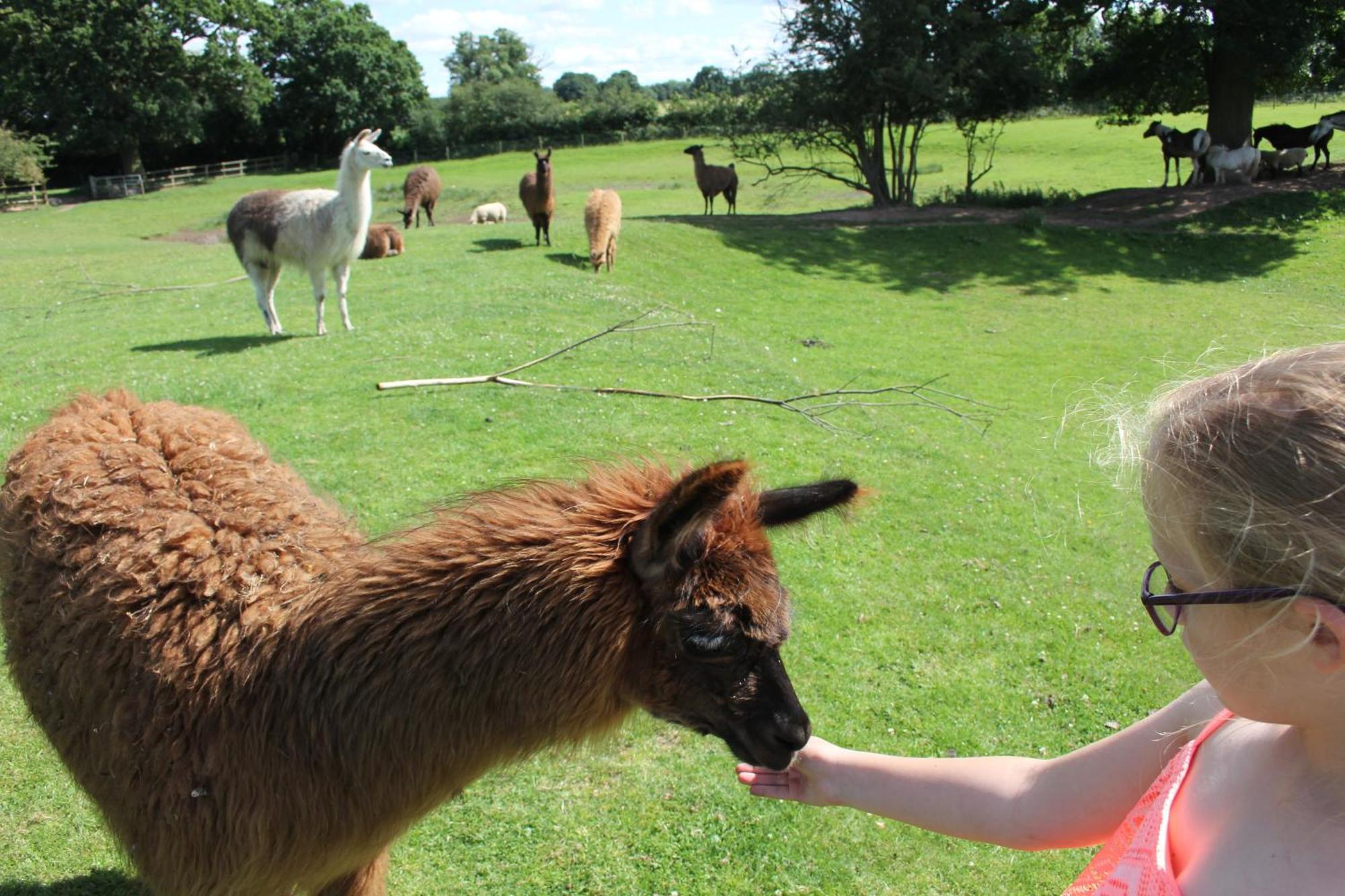 ホテル Glamping West Midlands Enville エクステリア 写真