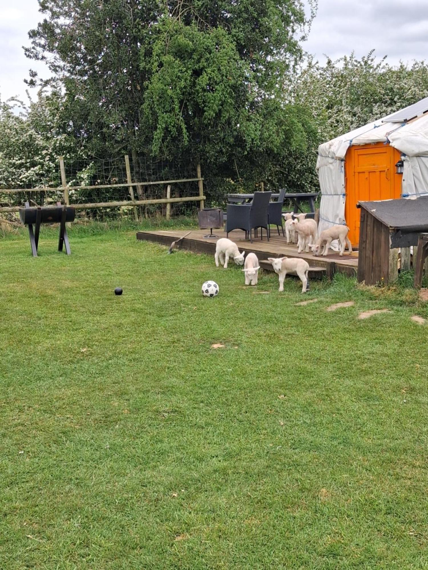ホテル Glamping West Midlands Enville エクステリア 写真